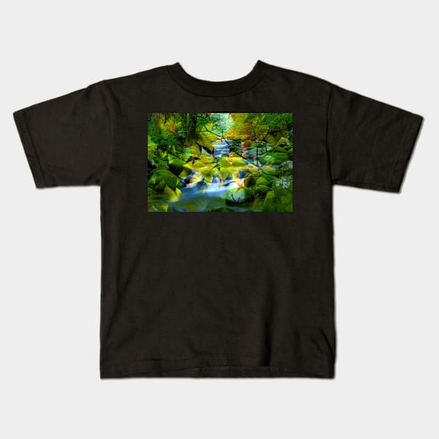 Mountain stream Kids T-Shirt by dltphoto